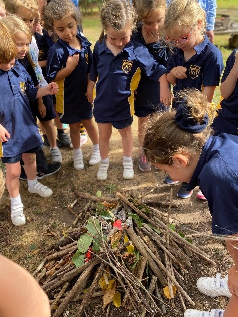 Year 1 forest school