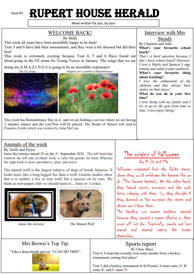 Year 6 newsletter