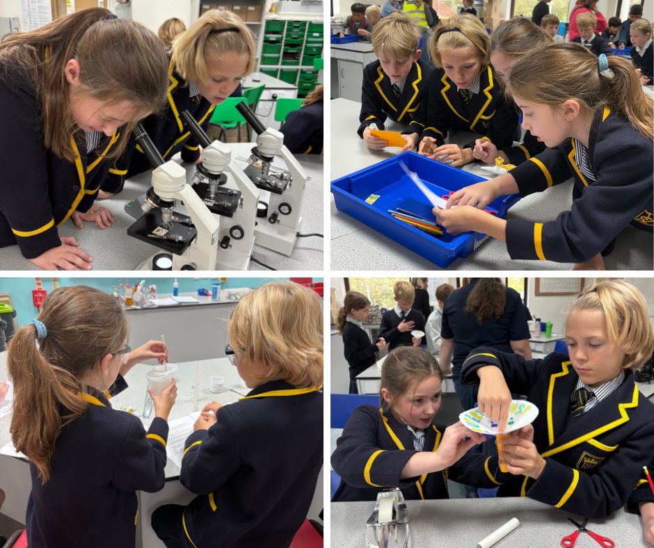 Bradfield Science Challenge Bradfield Science Challenge