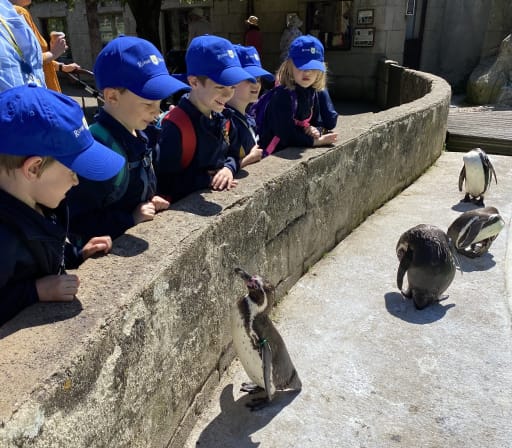 Year 1 visit Cotswold Wildlife Park