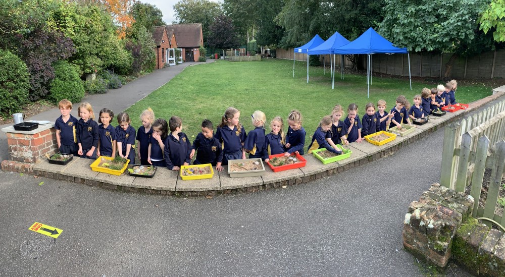 Year 2 Zen Gardens