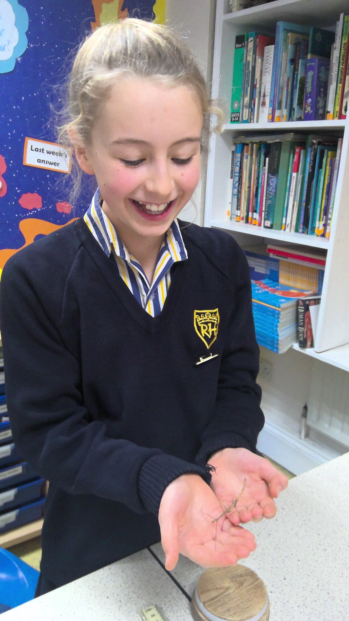 Stick Insect in Science