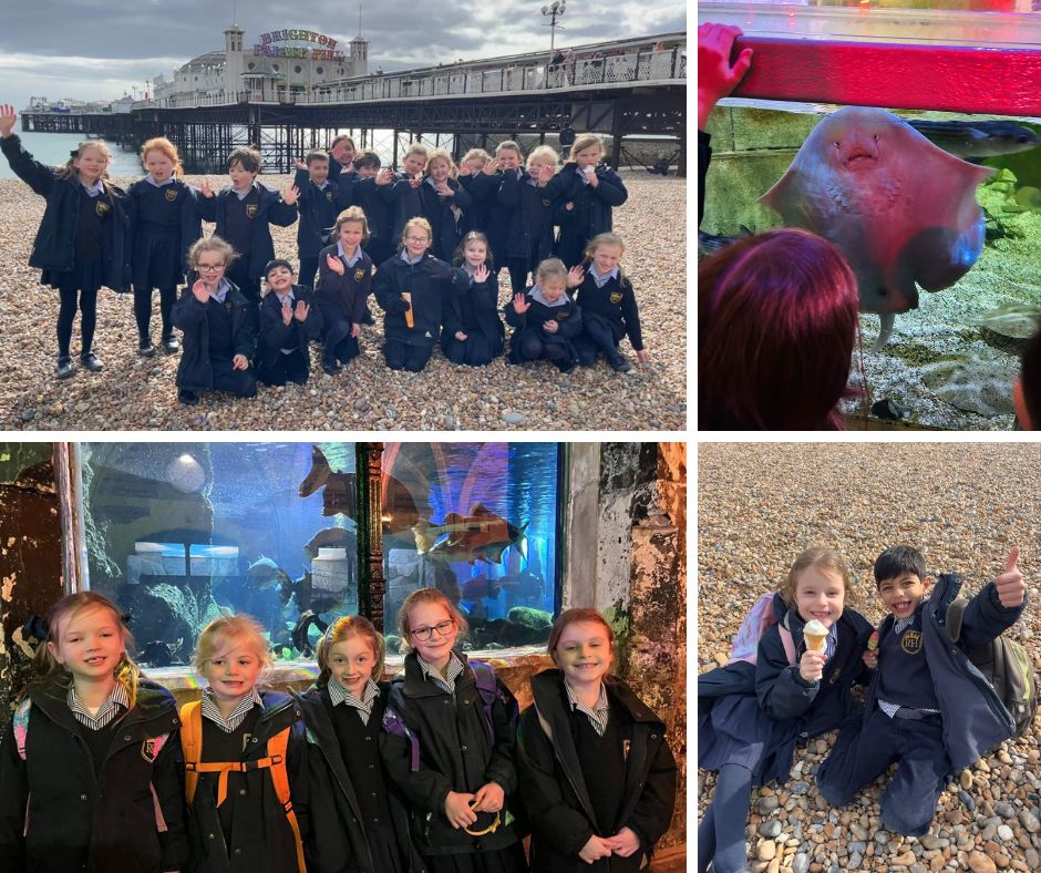 Sea Life trip