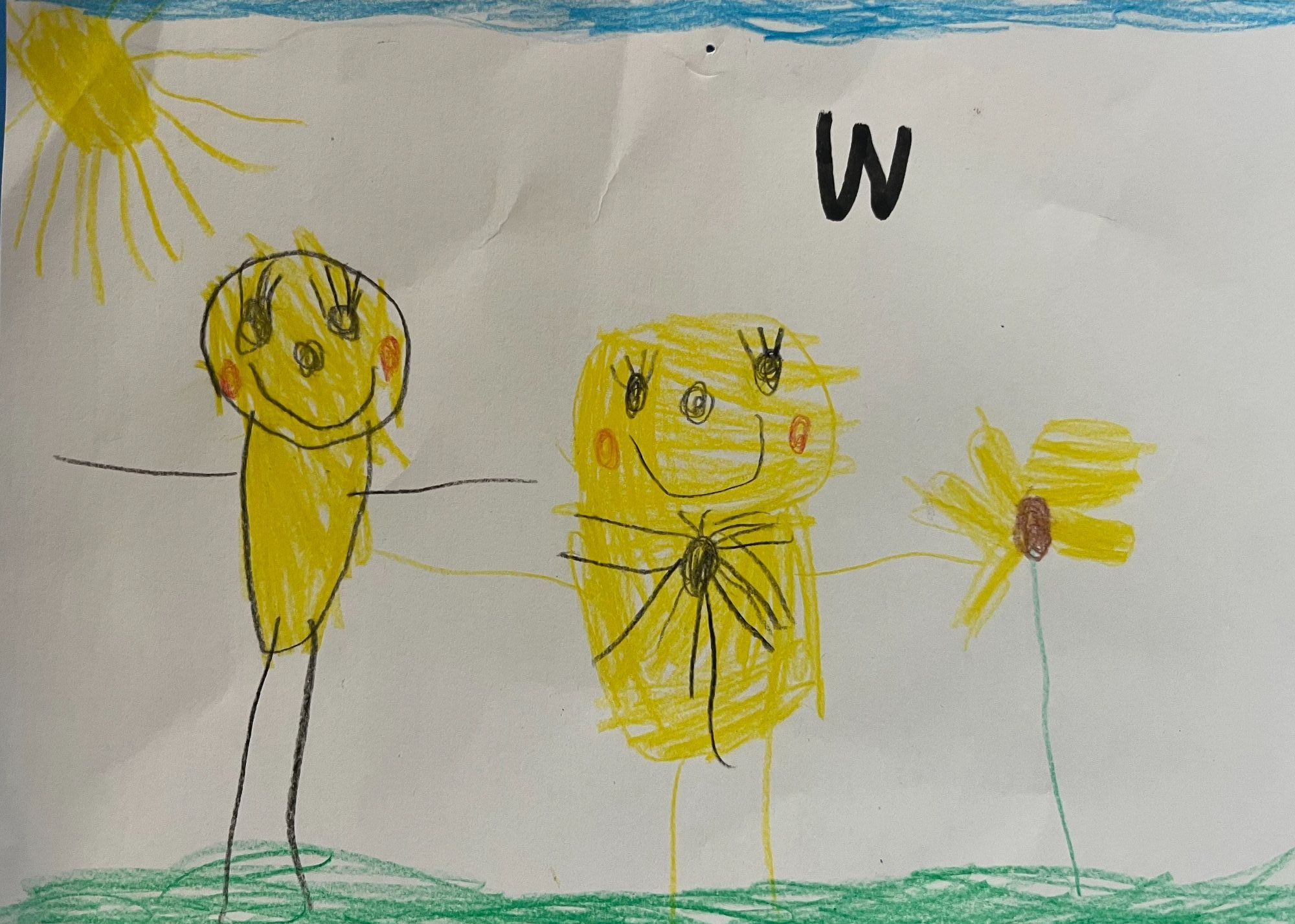 Artist of the Week Artist of the Week