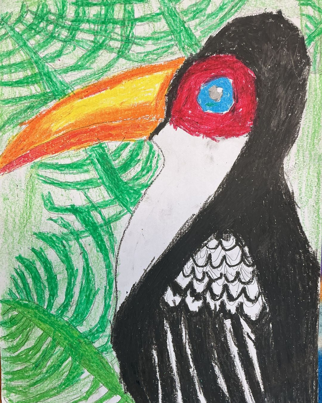 Toucan