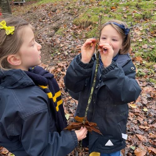 KS1 Forest School