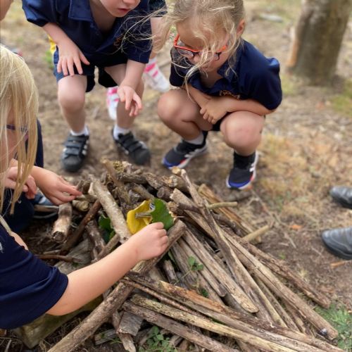 Year 1 at Forest School