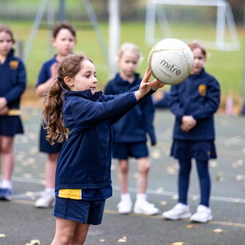 Netball