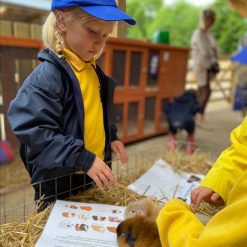 Bucklebury Farm