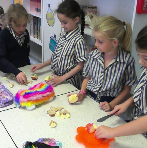 Making Bird Feeders in Science