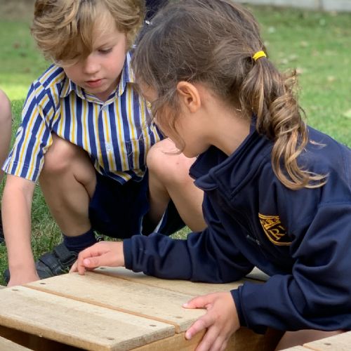 Year 1 Build an Ark in Maths